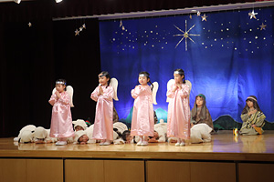 �Ó씒�S���w���c�t��